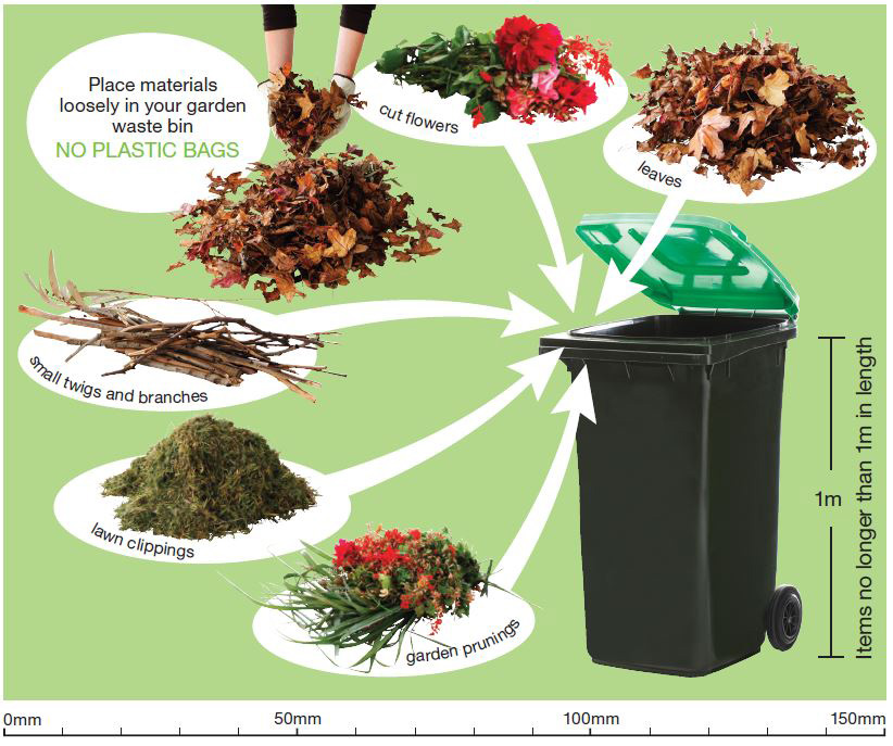 Which rubbish goes where? City of Canterbury Bankstown