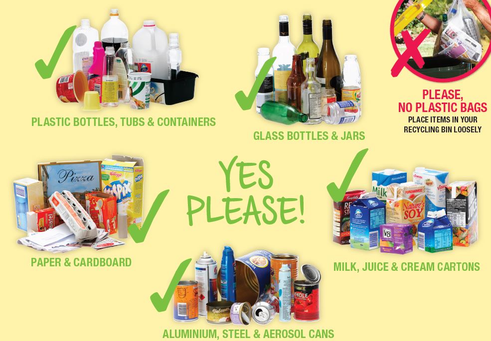 My household bin City of Canterbury Bankstown